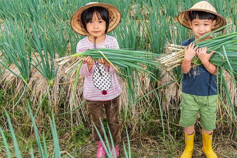 تايوان: جولة جزيرة خاصة لمدة 10 أيام مع فنادق 5 نجوم
