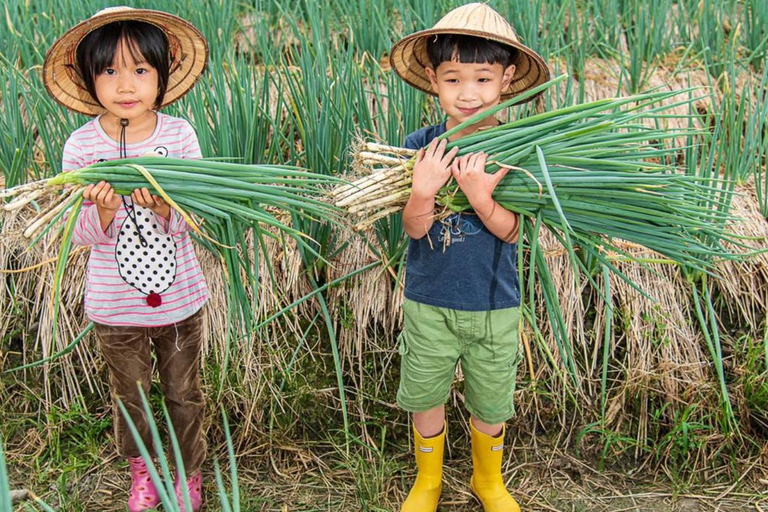 تايوان: جولة جزيرة خاصة لمدة 10 أيام مع فنادق 5 نجوم