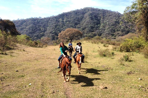 Salta: Full-Day Horseback Ride with BBQ and Snacks Salta: Full-Day Horseback Ride with Mountain Picnic