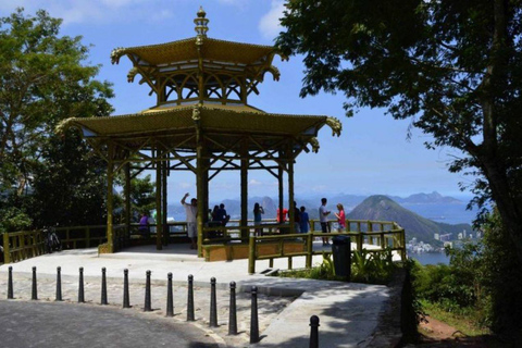 Rio de Janeiro : Visite privée Premium du Jardin Botanique