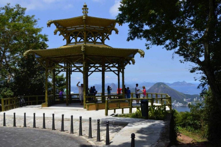 Rio de Janeiro: Tour privato del Giardino Botanico PremiumRio de Janeiro: Tour privato premium del Giardino Botanico