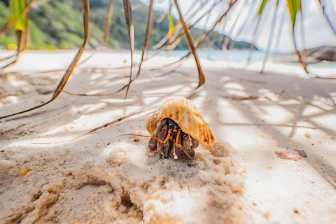 Phuket/Khao Lak: Upptäck Similan Island med 3 måltider