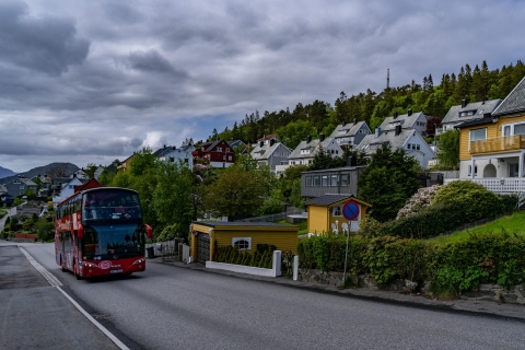 Geiranger : Visite guidée de la ville en bus avec montée et descente rapidesGeiranger : visite en bus à arrêts multiples d'une journée