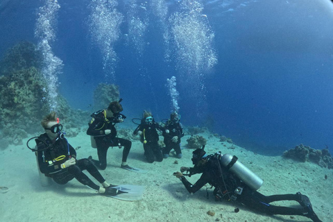 Intro Diving Débutant et découverte de la mer rouge sous l&#039;eau