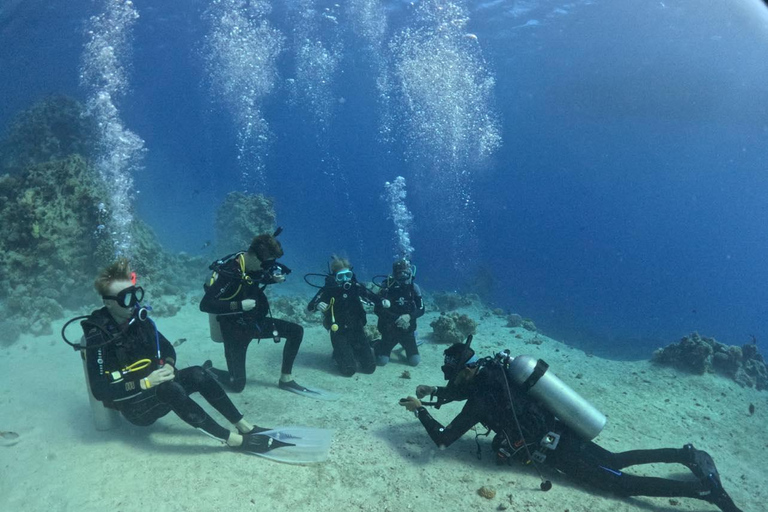 Intro Diving Débutant et découverte de la mer rouge sous l&#039;eau