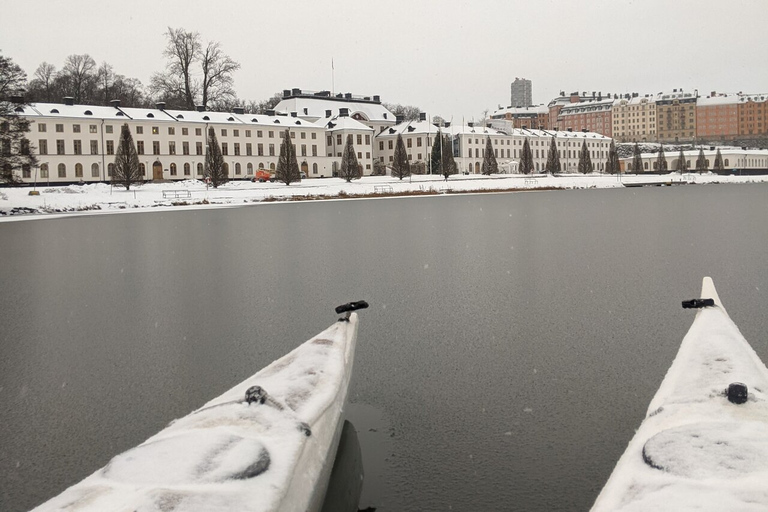 Stockholm: Winter Kayaking Tour with Optional Sauna TimeStockholm: Guided Winter Kayaking Tour