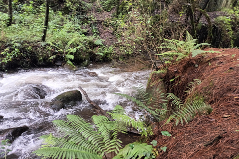 Cidade do México: Caminhada matinal no Mirador Coconetla