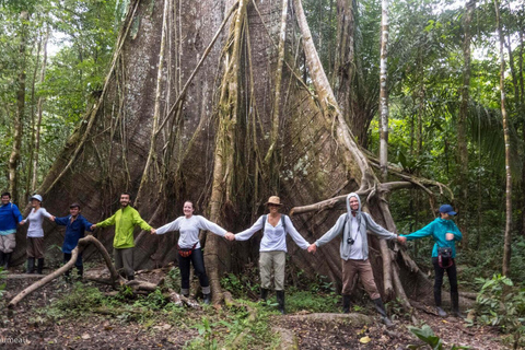 From Cusco: 3-day tour to the Peruvian Amazon with sleeper bus and lodge