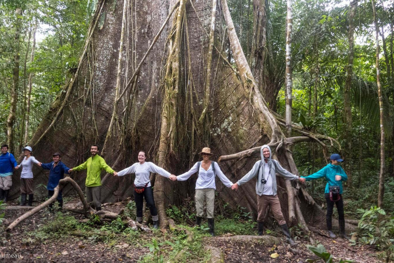 From Cusco: 3-day tour to the Peruvian Amazon with sleeper bus and lodge