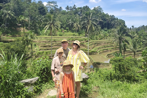 乌布猴林、梯田、秋千、寺庙和瀑布乌布猴林、水稻梯田、秋千、寺庙和瀑布