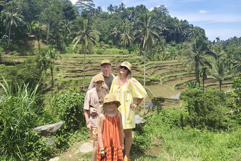 乌布猴林、梯田、秋千、寺庙和瀑布乌布猴林、水稻梯田、秋千、寺庙和瀑布