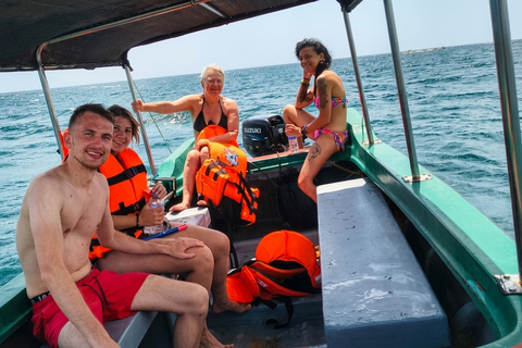 Trincomalee: Whale and Dolphin Watching Tour