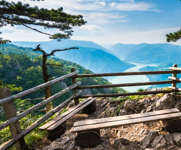 Da Belgrado: Tour del Parco Nazionale di Tara e della Valle del fiume Drina