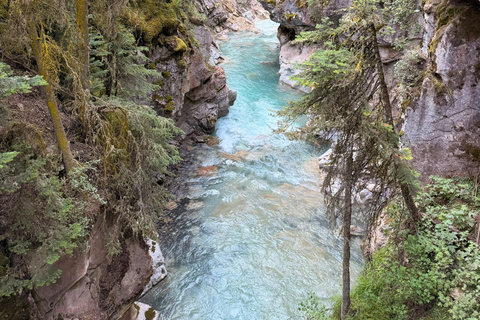 Banff, Louise & Emerald Lake, Johnston Canyon half day Tour Banff and Yoho National Park Lakes and Hikes half day Tour
