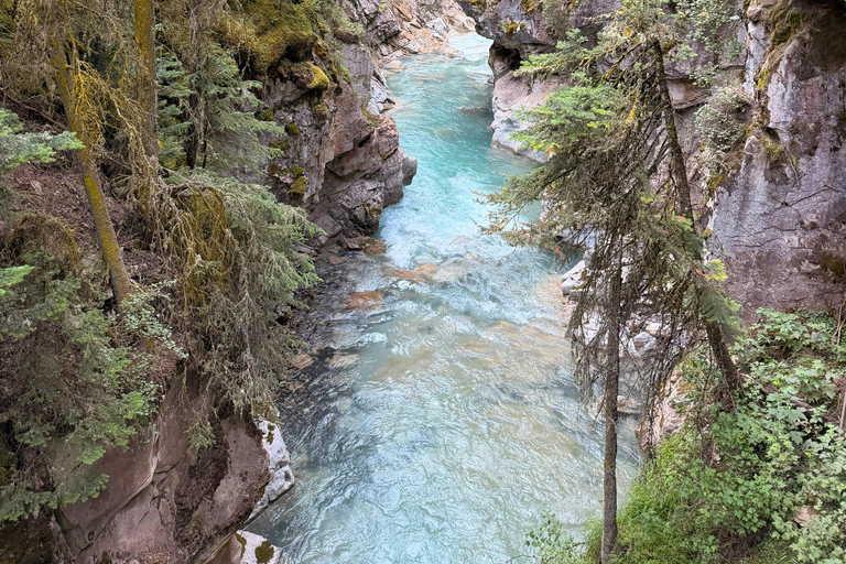 Banff, Louise & Emerald Lake, Johnston Canyon half day Tour Banff and Yoho National Park Lakes and Hikes half day Tour