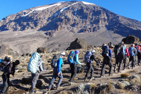 Randonnée guidée d&#039;une journée vers le plateau de Shira sur le mont Kilimandjaro