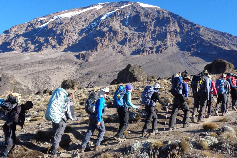 Caminhada guiada de dia inteiro até ao planalto de Shira no Monte Kilimanjaro