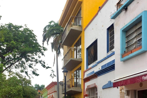 Santa Marta: Historic City Tour and Quinta de San Pedro Alejandrino