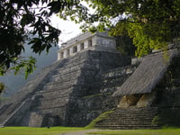 Palenque archeologische site geleide wandeltocht - Housity
