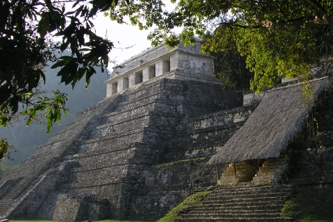 Archäologische Stätte von Palenque Geführter RundgangPrivate Tour