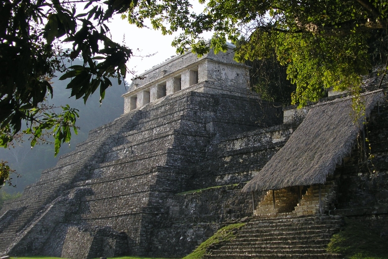 Archäologische Stätte von Palenque Geführter RundgangGemeinsame Gruppentour