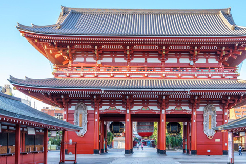 Tokyo: Private City Highlights Tour with Guide