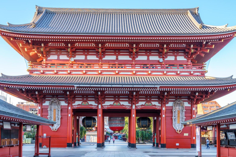 Tokyo: Private City Highlights Tour with Guide