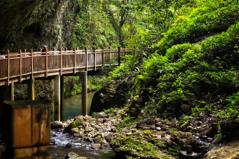 Zhangjiajie Glass Bridge, Huanglong Cave Shared/Private Tour Private tour
