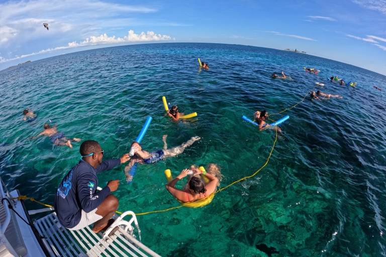 Rozeneiland: Zwemmen met varkens, snorkelen en lunchenRose Island: zwemmen met varkens, snorkelen en lunchen