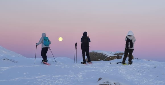 From Tromsø: Snowshoe Hike in the Arctic