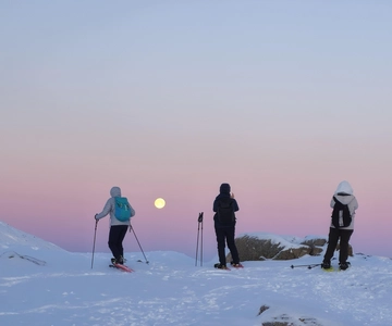 From Tromsø: Snowshoe Hike in the Arctic