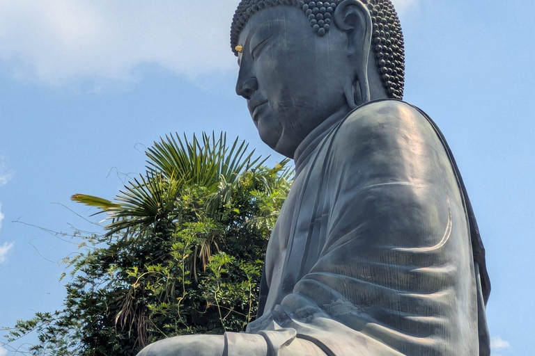 Nara: Mt. Ikoma Guided Hiking Tour with Cable Car and Views