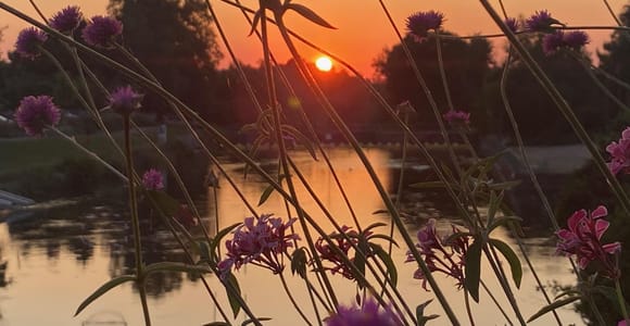 Basel: Lust auf eine Fahrradtour durch 3 Länder in 60 Minuten?