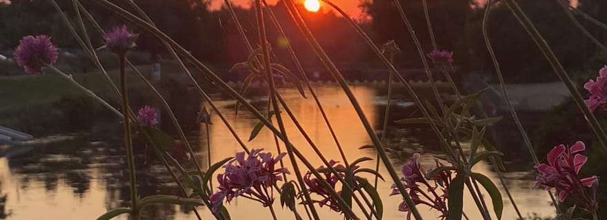 Bâle : envie d'une balade à vélo à travers 3 pays en 60 minutes ?