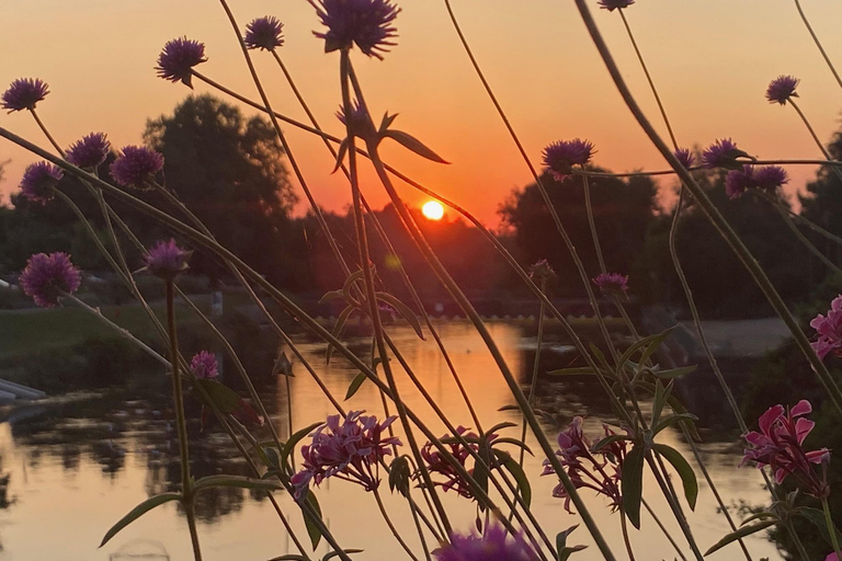 Basel: Fancy a bike tour through 3 countries in 60 minutes? Basel: Fancy a bike tour through three countries in 60 minutes?