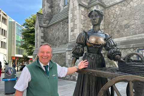 都柏林徒步之旅：城堡与大教堂——本地专家带您深度探索都柏林徒步之旅：城堡与大教堂，本地专家带您深度探索