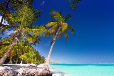 Saona Island: Catamaran tour to a Dream Beach, all inclusive Tour with pickup from Santo Domingo included