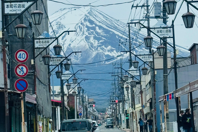 Tokyo: Private Daytrip to Mount Fuji - Fully Customizable Mt Fuji Private Luxury Van Tour (Customizable Experience)