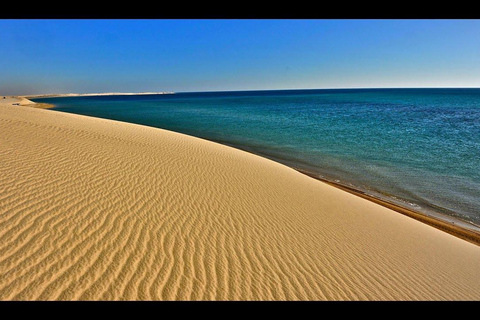 Doha: Desert Safari & Inland Sea Adventure with Desert Camp Evening Tour