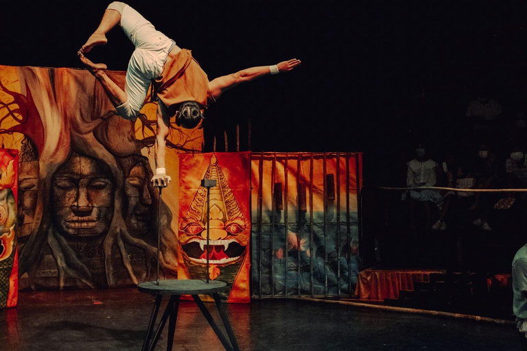 Siem Reap: The Cambodian Circus Show with Pick up & Drop off Section: A Vip Tickets