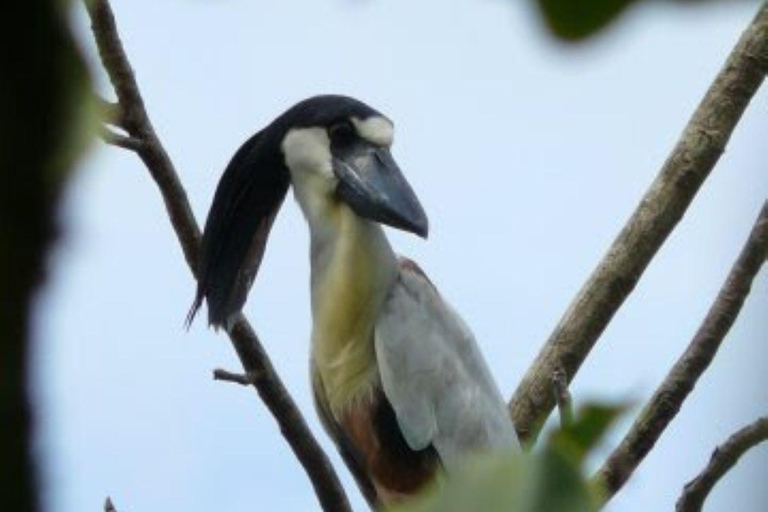 6 dagars äventyr i Amazonas från Iquitos