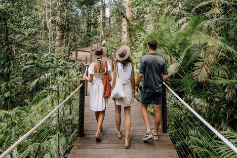 Brisbane to Daintree Whitsundays & Reef 9 Day Comfort Tour Private Single Room (Adults only)