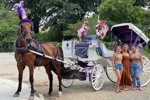 NYC: Private Central Park Horse & Carriage Ride