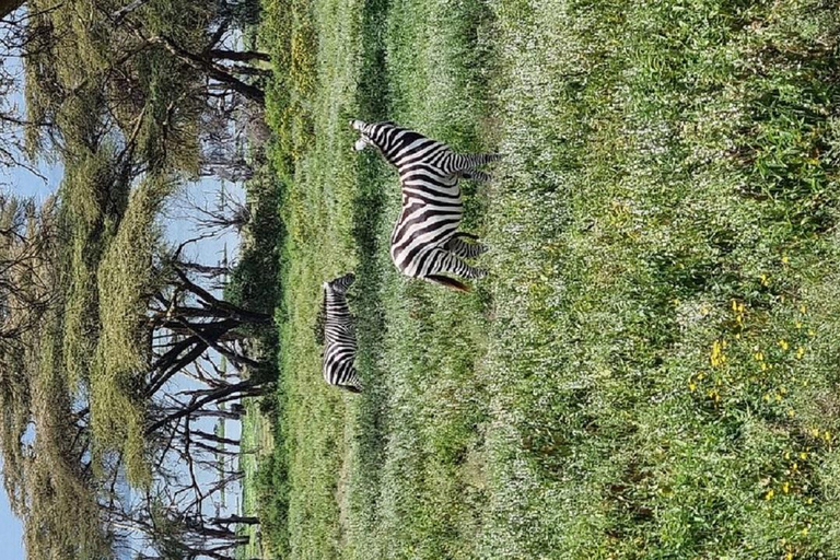 Nairobi: Crescent Island Walking Safari and Lake Naivasha Shared: Crescent Island and Lake Naivasha without Entry Fee