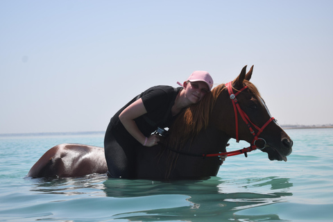 Hurghada: Swimming & Horse riding with FREE Photos & Videos 2-Hour Horse Swimming & Photos with Transfer