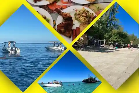 Ile aux Benitiers / Simma med delfiner / snorkling / lunch /