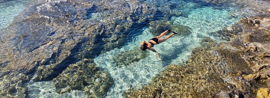 Alghero : Plages sauvages et plongée en apnée