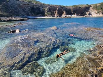 Alghero: Wild Beaches and Snorkeling Tour