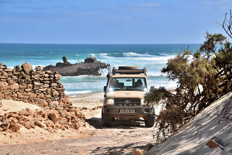 4x4 Boa Vista North Jeep Expedition 4hWyprawa Jeepem 4x4 Boa Vista North 4h