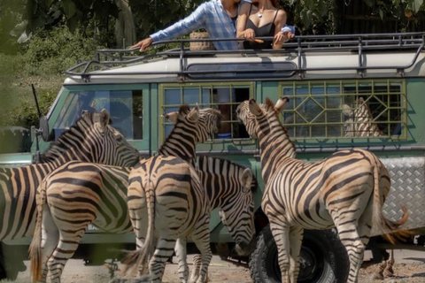 Bali: Safari Park and Tegenungan Waterfall Day Trip